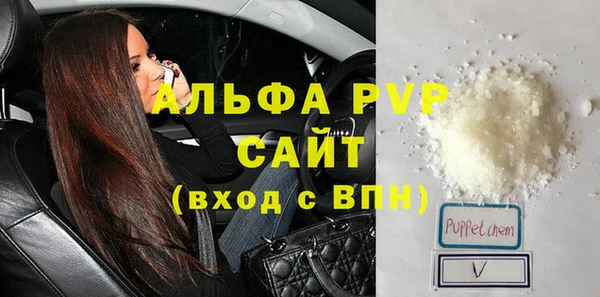 молекула духа Снежногорск