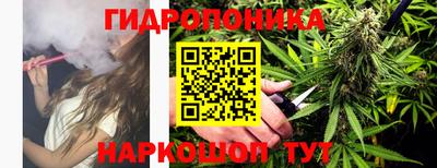 альфа пвп Берёзовский