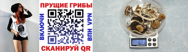 где продают наркотики  Старая Купавна  Галлюциногенные грибы прущие грибы 