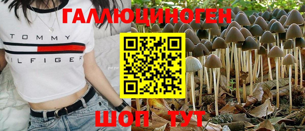 Псилоцибиновые грибы MAGIC MUSHROOMS  купить  цена  Старая Купавна 