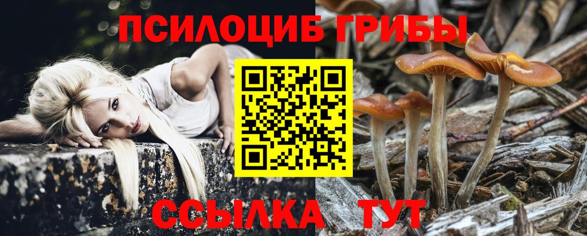Старая Купавна  Галлюциногенные грибы Psilocybe  Вход с VPN 