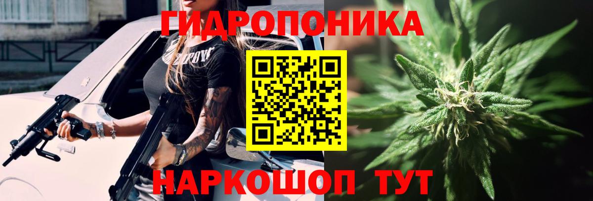 Шишки марихуана конопля  Марихуана сатива  Вход с VPN  Старая Купавна  МАРИХУАНА Ganja 